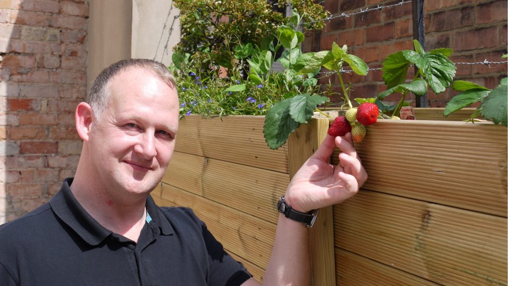 ray and the strawberries